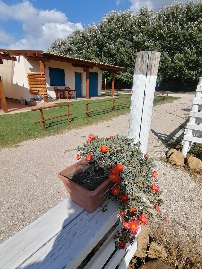 Agriturismo Oca Giuliva Lido dei Pini Exterior foto